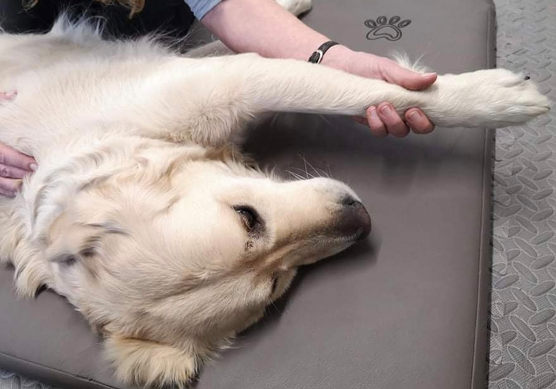 Behandlung