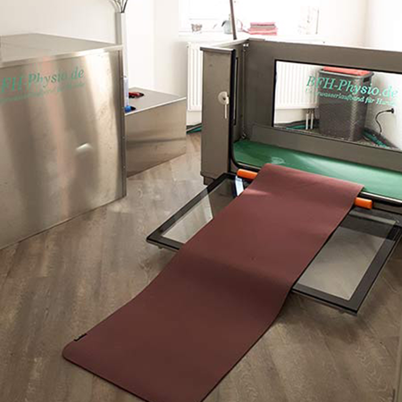Physiotherapie